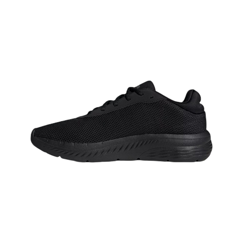 Zapatilla